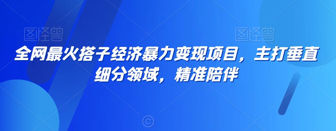 mp6394期-全网最火搭子经济暴力变现项目，主打垂直细分领域，精准陪伴