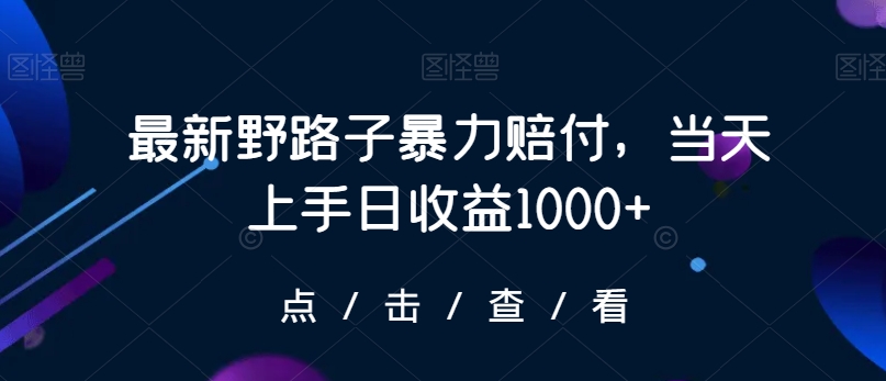 mp6430期-最新野路子暴力赔付，当天上手日收益1000+【仅揭秘】