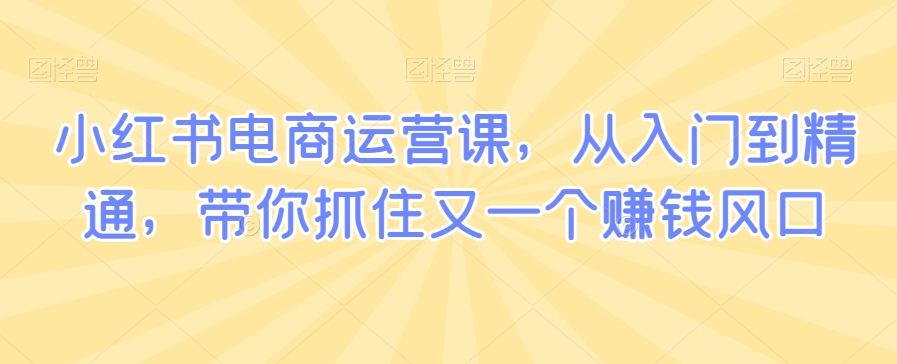 mp6516期-小红书电商运营课，从入门到精通，带你抓住又一个赚钱风口