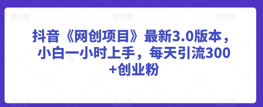 mp6599期-抖音《网创项目》最新3.0版本，小白一小时上手，每天引流300+创业粉