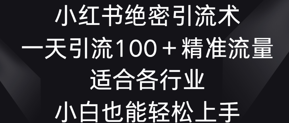 mp6617期-小红书绝密引流术，一天引流100+精准流量，适合各个行业，小白也能轻松上手