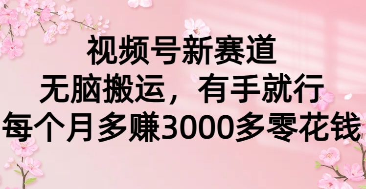 （9278期）视频号新赛道，无脑搬运，有手就行，每个月多赚3000多零花钱