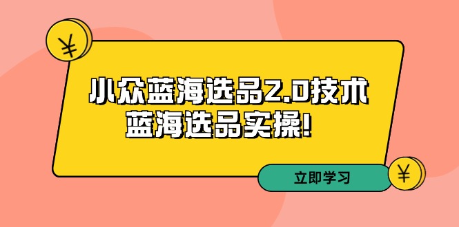 （9189期）拼多多培训第33期：小众蓝海选品2.0技术-蓝海选品实操！