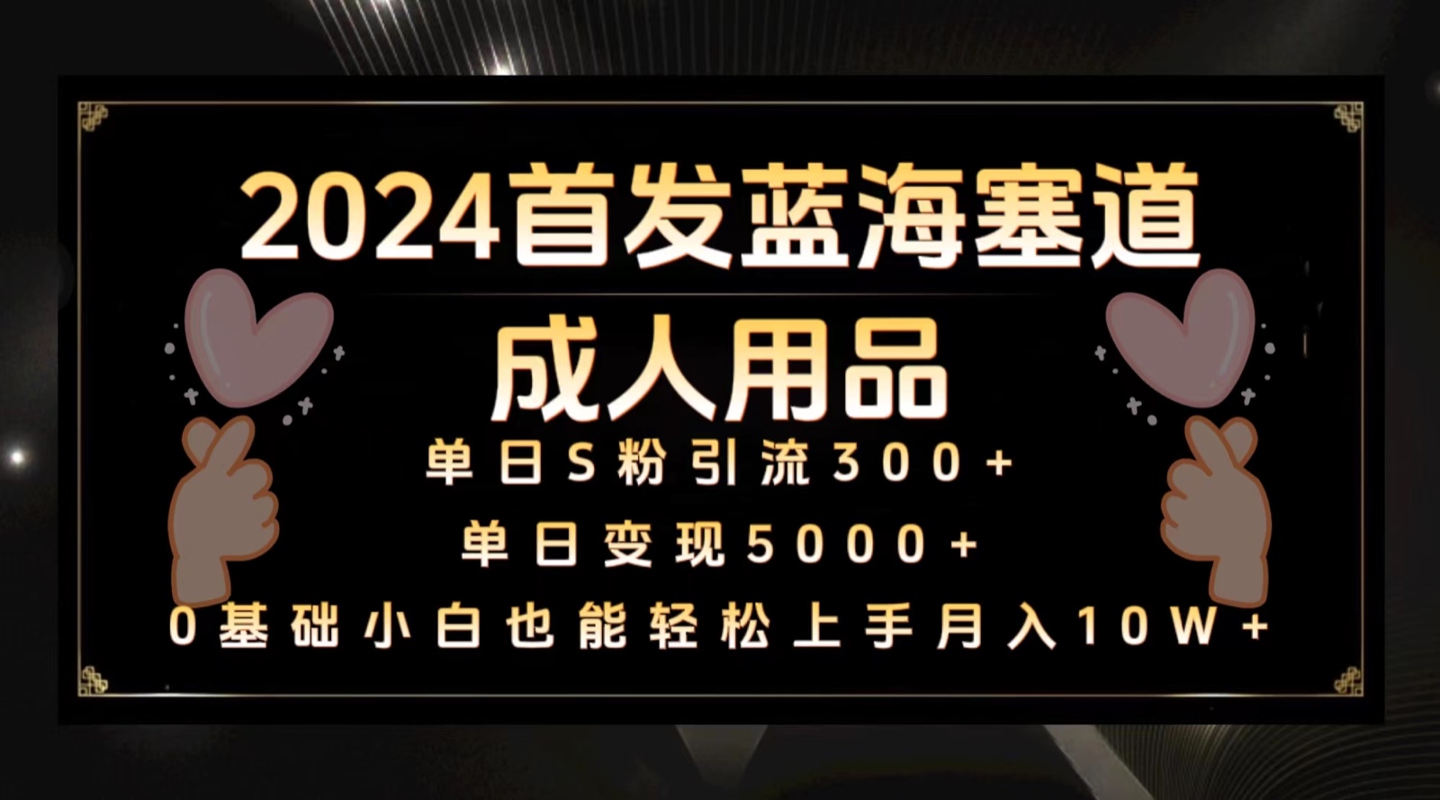 fy2835期-2024首发蓝海塞道成人用品，月入10W+保姆教程