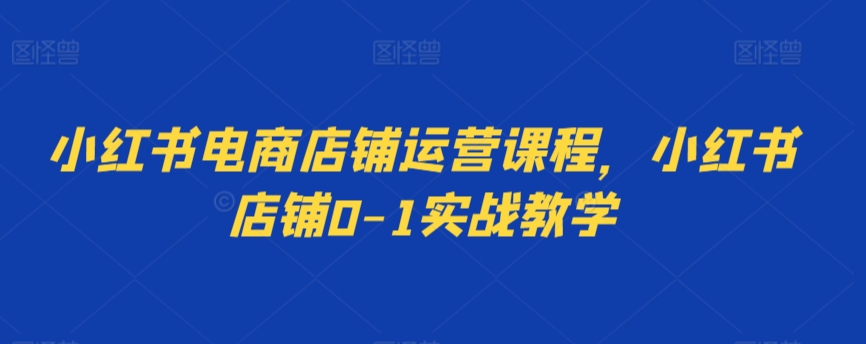 mp6697期-小红书电商店铺运营课程，小红书店铺0-1实战教学