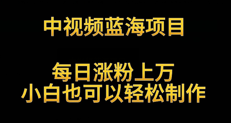 mp6759期-中视频蓝海项目，解读英雄人物生平，每日涨粉上万，小白也可以轻松制作，月入过万不是梦