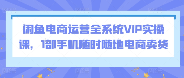 mp6947期-闲鱼电商运营全系统VIP实操课，1部手机随时随地电商卖货