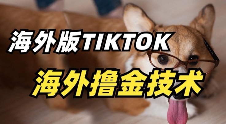 mp7025期-抖音海外版tiktok撸金技术，这个风口行业，赚钱真的不难