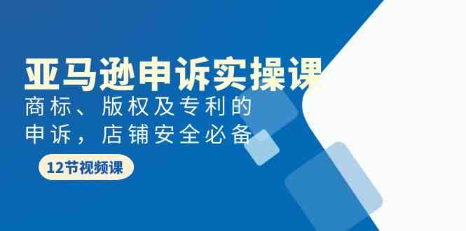 fy3123期-亚马逊申诉实战课，商标、版权及专利的申诉，店铺安全必备