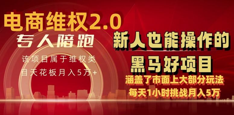 mp7538期-电商维权 4.0 如何做到月入 5 万+每天 1 小时新人也能快速上手【仅揭秘】