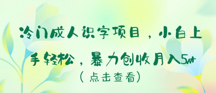 mp7655期-冷门成人识字项目，小白上手轻松，暴力创收月入5w+