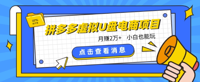 mp7700期-拼多多虚拟U盘电商红利项目：月赚2万+，新手小白也能玩