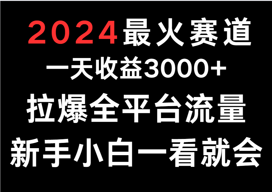 fy3665期-2024最火赛道，一天收一3000+.拉爆全平台流量，新手小白一看就会