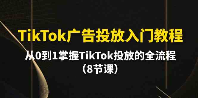 fy3671期-TikTok广告投放入门教程，从0到1掌握TikTok投放的全流程（8节课）