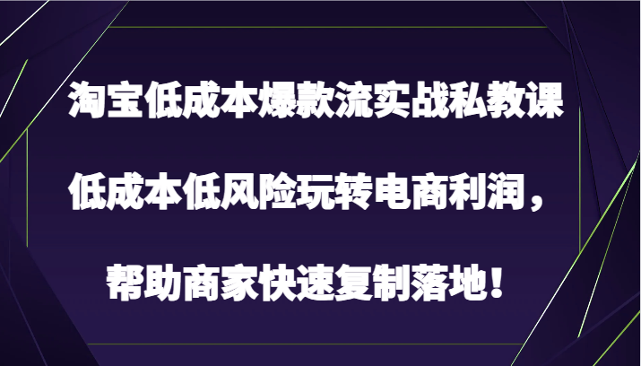 fy3719期-淘宝低成本爆款流实战私教课，低成本低风险玩转电商利润，帮助商家快速复制落地！