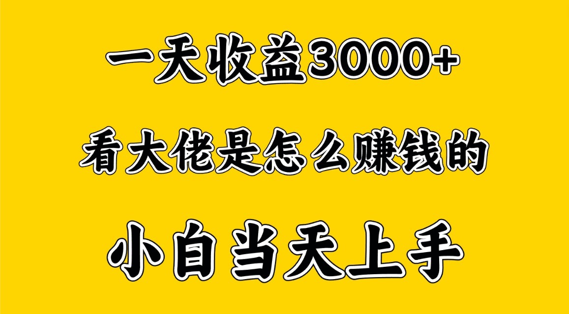 fy3731期-一天赚3000多，大佬是这样赚到钱的，小白当天上手，穷人翻身项目