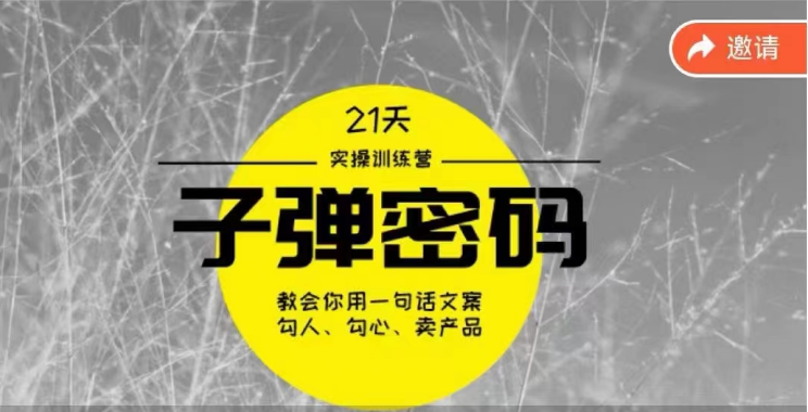 fy3734期-《子弹密码训练营》用一句话文案勾人勾心卖产品，21天学到顶尖文案大师策略和技巧