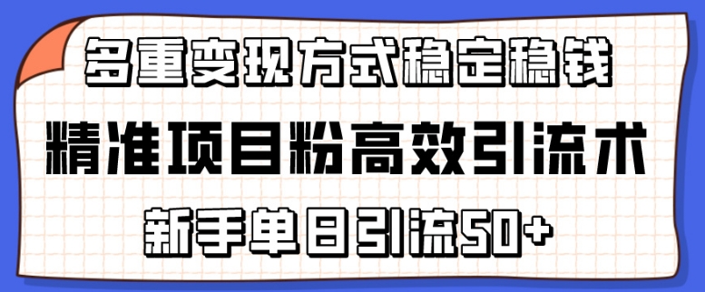 mp7835期-精准项目粉高效引流术，新手单日引流50+，多重变现方式稳定赚钱