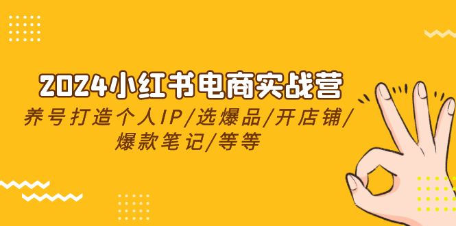 fy3843期-2024小红书电商实战营，养号打造IP/选爆品/开店铺/爆款笔记/等等（24节）