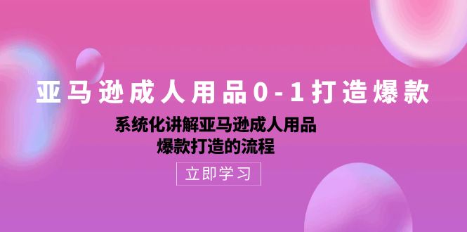 fy3913期-亚马逊成人用品0-1打造爆款：系统化讲解亚马逊成人用品爆款打造的流程