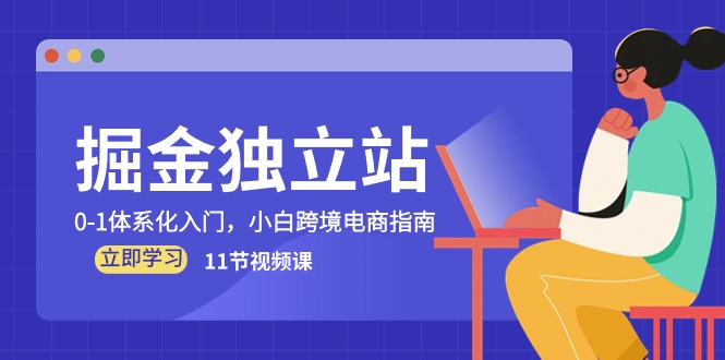 fy3935期-掘金独立站，0-1体系化入门，小白跨境电商指南（11节视频课）