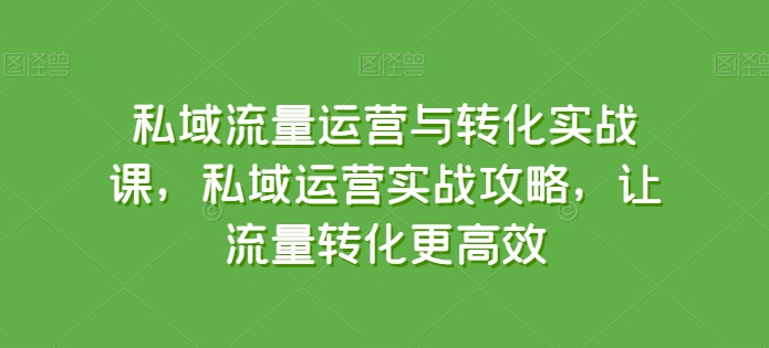 mp8137期-私域流量运营与转化实战课，私域运营实战攻略，让流量转化更高效