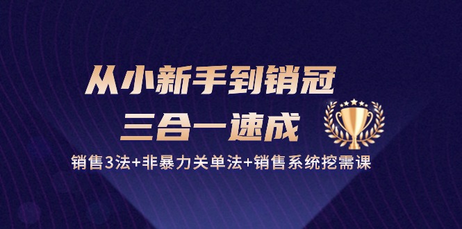 fy4090期-从小新手到销冠三合一速成：销售3法+非暴力关单法+销售系统挖需课 (27节)