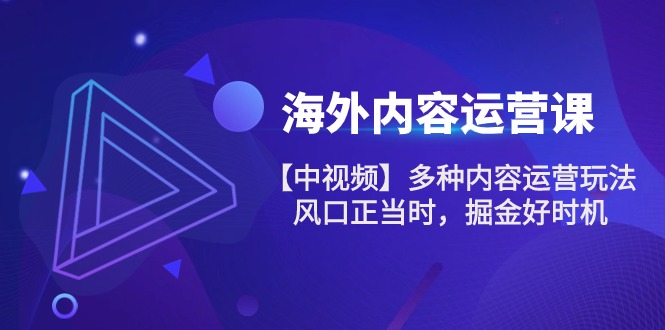 fy4118期-海外内容运营课【中视频】多种内容运营玩法 风口正当时 掘金好时机（101节）