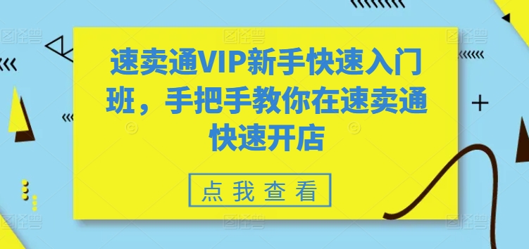 mp8208期-速卖通VIP新手快速入门班，手把手教你在速卖通快速开店