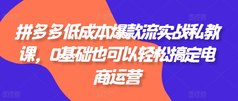 mp8482期-拼多多低成本爆款流实战私教课，0基础也可以轻松搞定电商运营