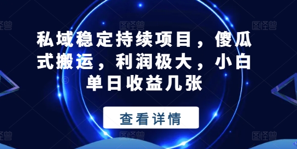 mp8501期-私域稳定持续项目，傻瓜式搬运，利润极大，小白单日收益几张