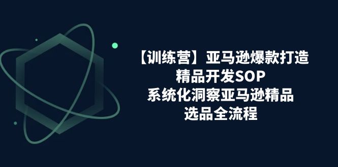 fy4323期-亚马逊爆款打造之精品开发SOP【训练营】，系统化洞察亚马逊精品选品全流程