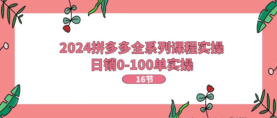 fy4326期-2024拼多多全系列课程实操，日销0-100单实操【16节课】