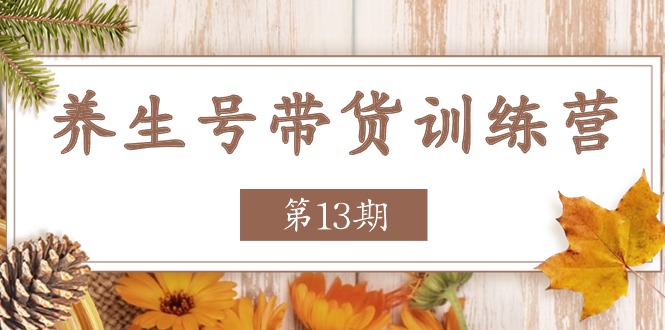 fy4359期-养生号带货训练营【第13期】收益更稳定的玩法，让你带货收益爆炸