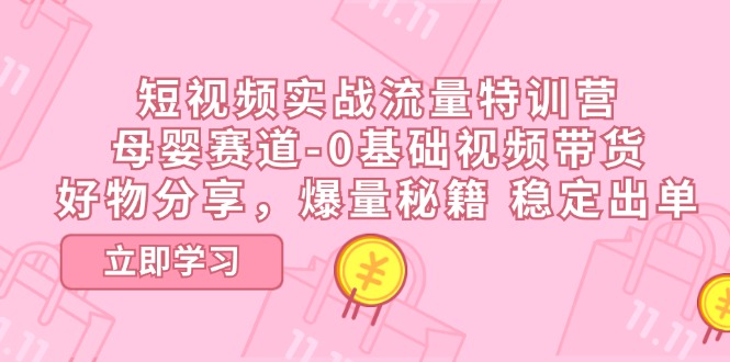 fy4405期-短视频实战流量特训营，母婴赛道-0基础带货，好物分享，爆量秘籍 稳定出单