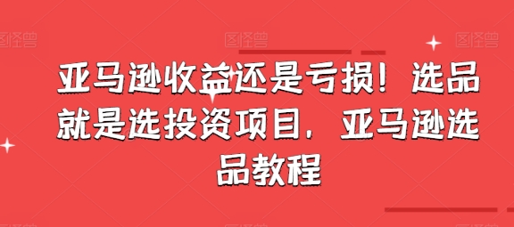 mp8867期-亚马逊收益还是亏损！选品就是选投资项目，亚马逊选品教程