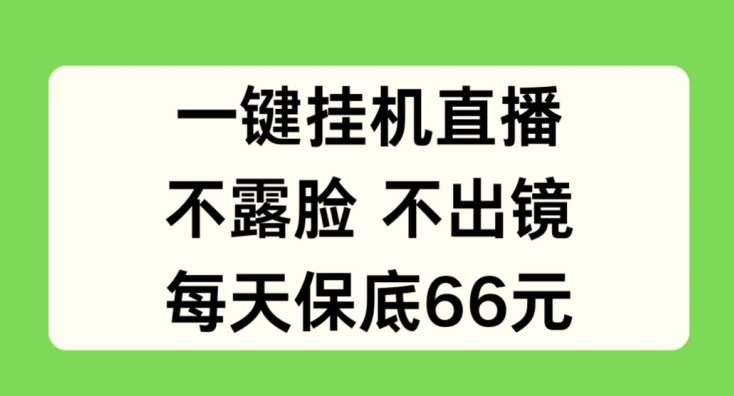 mp8875期-一键挂JI直播，不露脸不出境，每天保底66元