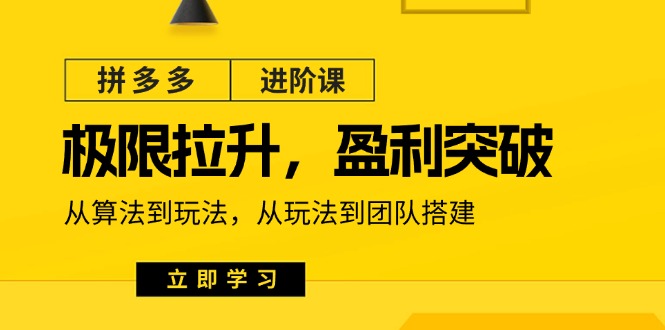 fy4432期-拼多多进阶课：极限拉升/盈利突破：从算法到玩法 从玩法到团队搭建（18节）