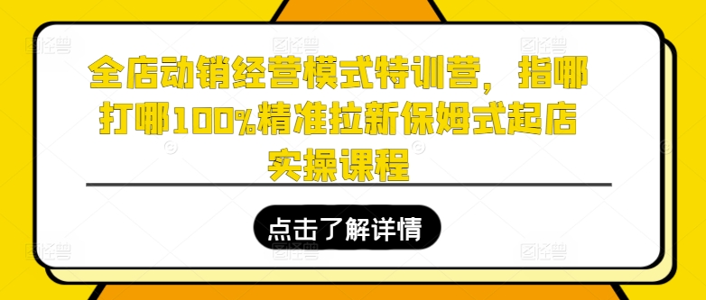 mp8885期-全店动销经营模式特训营，指哪打哪100%精准拉新保姆式起店实操课程