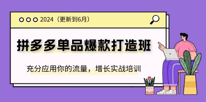 fy4493期-2024拼多多单品爆款打造班，充分应用你的流量，增长实战培训(更新6月)