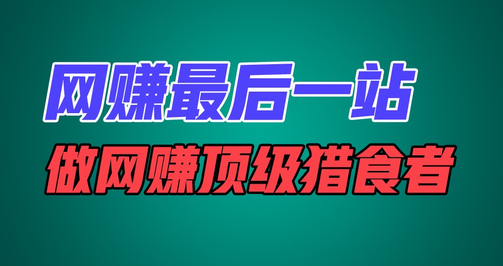 fy4495期-网赚最后一站，卖项目，做网赚顶级猎食者