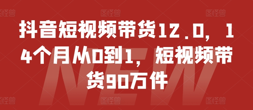 mp9006期-抖音短视频带货12.0，14个月从0到1，短视频带货90万件