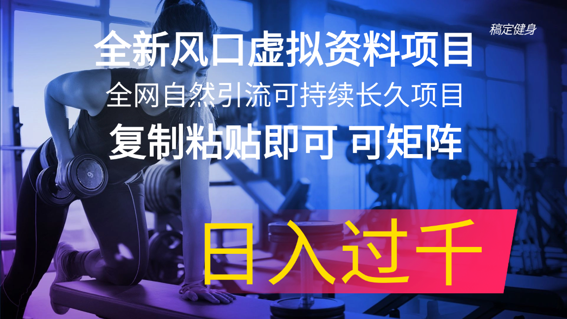 （11587期）全新风口虚拟资料项目 全网自然引流可持续长久项目 复制粘贴即可可矩阵…