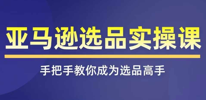 mp9082期-亚马逊选品实操课程，快速掌握亚马逊选品的技巧，覆盖亚马逊选品所有渠道