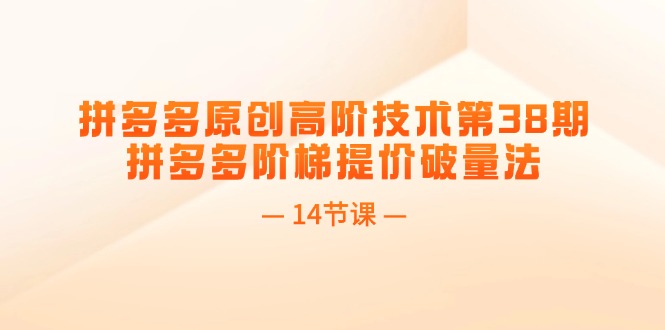 fy4815期-拼多多原创高阶技术第38期，拼多多阶梯提价破量法（14节课）