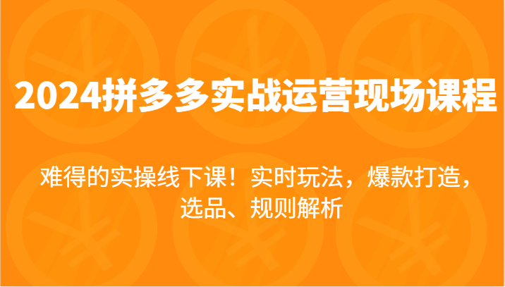 fy4878期-2024拼多多实战运营现场课，实时玩法，爆款打造，选品、规则解析，难得的实操线下课！