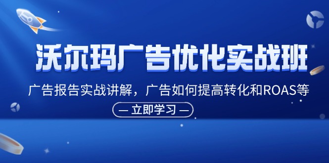 fy5064期-沃尔玛广告优化实战班，广告报告实战讲解，广告如何提高转化和ROAS等