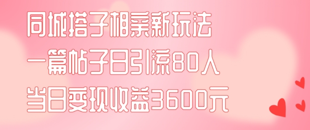 mp9651期-同城搭子相亲新玩法一篇帖子引流80人当日变现3600元(项目教程+实操教程)