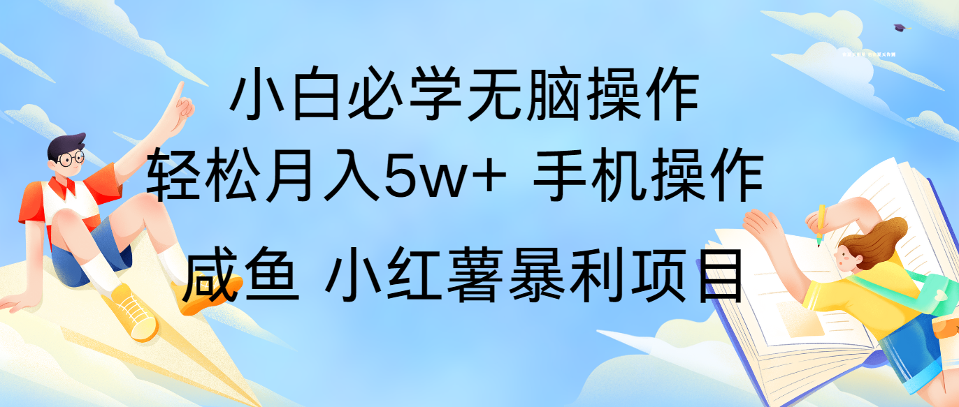 fy5213期-全网首发2024最暴利手机操作项目，简单无脑操作，每单利润最少500+