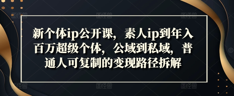 mp9740期-新个体ip公开课，素人ip到年入百万超级个体，公域到私域，普通人可复制的变现路径拆解